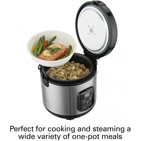 Hamilton Beach Digital Programmable Rice Cooker & Food Steamer 8 Cups Cooked 4 Uncooked With Steam & Rinse Basket Stainless Steel 37518 B0752VWV65
