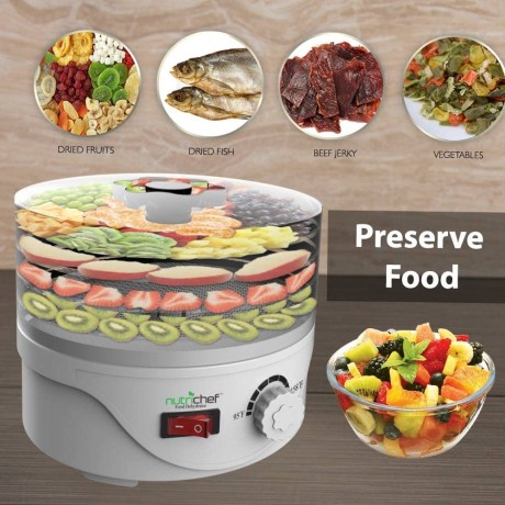 NutriChef Dehydrator Machine Professional Electric Multi+Tier Food Preserver Meat or Beef Jerky Maker Fruit & Vegetable Dryer with 4 Stackable Trays PKFD08 B01BI5CG7A